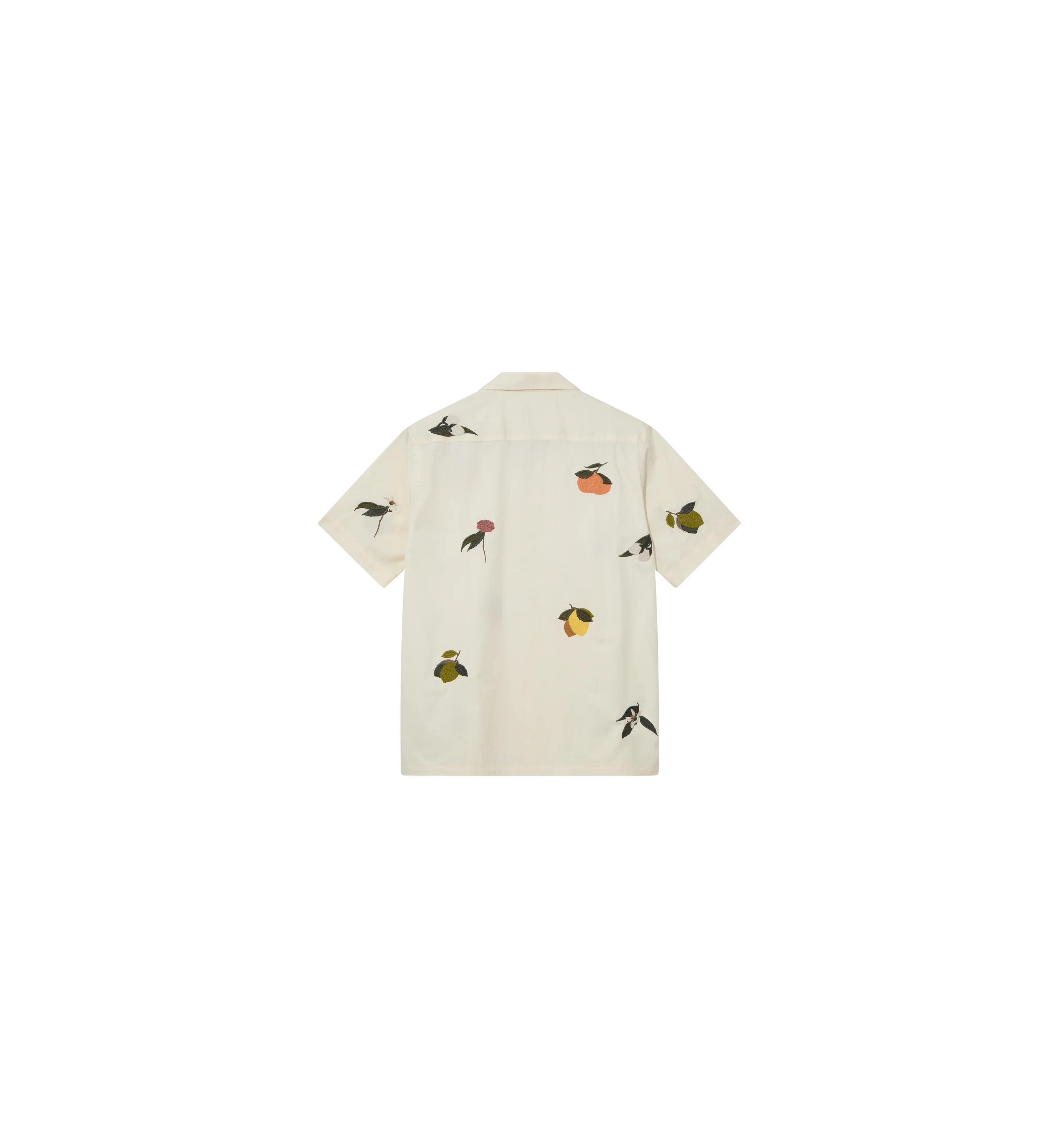 MMGBabel Agrumi Shirt - Image 4